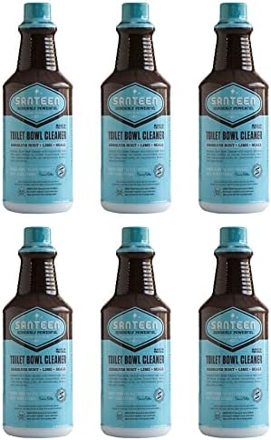 Santeen Rust Scale Delimer Remover 6-Pack 1