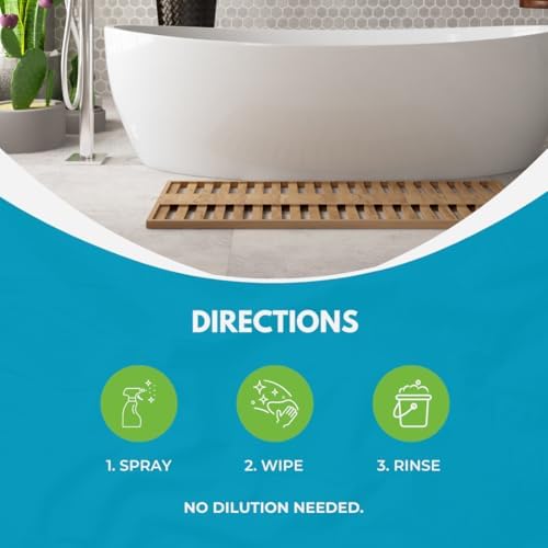 Laticrete StoneTech Mold Mildew Stain Remover 2-Pack