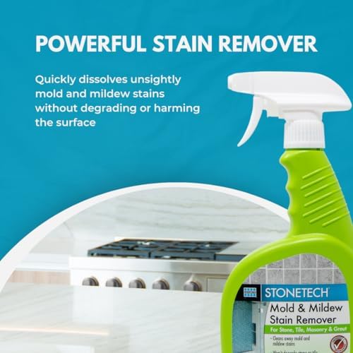 Laticrete StoneTech Mold Mildew Stain Remover 2-Pack
