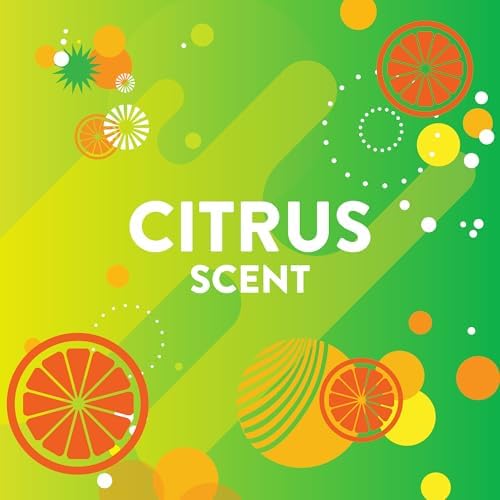 Scrubbing Bubbles Citrus Bathroom Cleaner 20oz