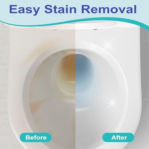 4 Pack Pumice Stones with Detachable Handle for Toilet Cleaning
