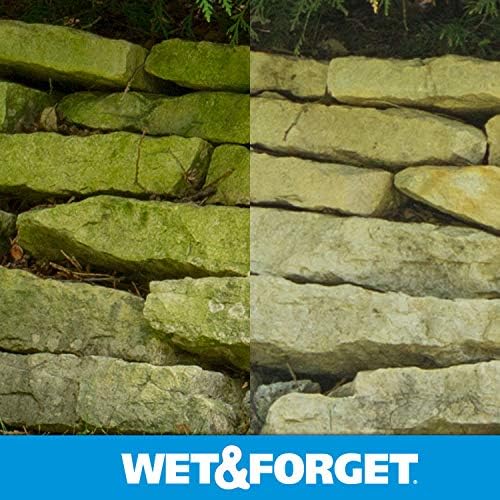 Wet Forget No Scrub Outdoor Cleaner 05 Gallon