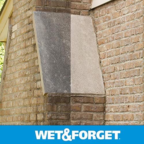 Wet Forget No Scrub Outdoor Cleaner 05 Gallon