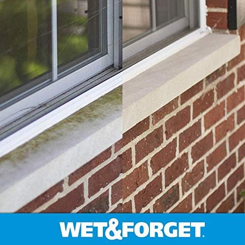 Wet Forget Outdoor Multi-Surface Cleaner 64 Ounce