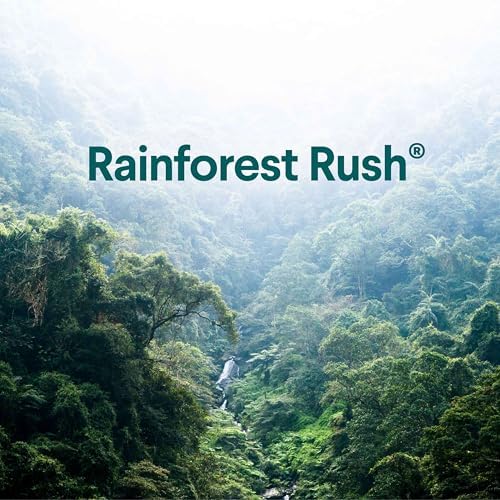 Clorox ToiletWand Refill Heads - Rainforest Rush 10 Count 1