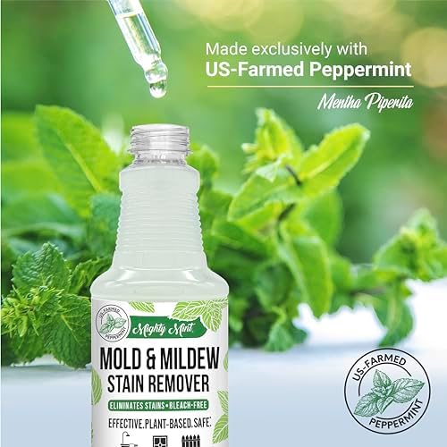 Mighty Mint Mold Mildew Stain Remover Spray 16oz