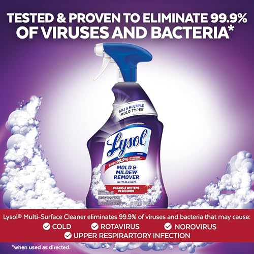 Lysol Mold Mildew Remover 32oz Pack of 1