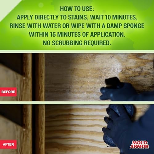 Mold Armor Professional Mold Kill Control Spray 32 oz