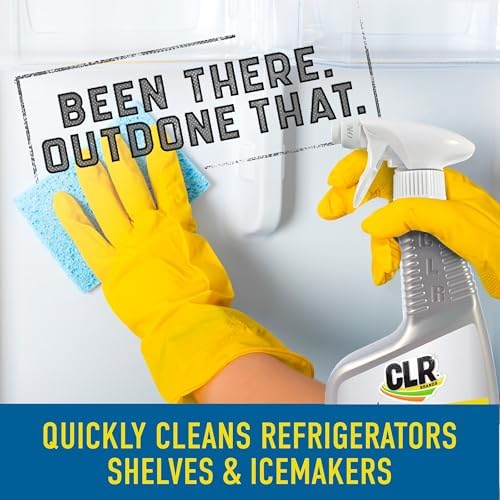 CLR Calcium Lime Rust Remover 22 Ounce Pack of 1 1