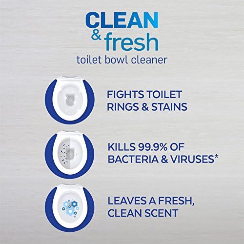 Lysol Toilet Bowl Cleaner Gel 24oz Forest Rain Scent
