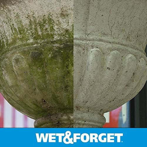 Wet Forget Outdoor Multi-Surface Cleaner 64 Ounce