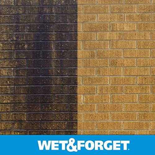 Wet Forget No Scrub Outdoor Cleaner 05 Gallon