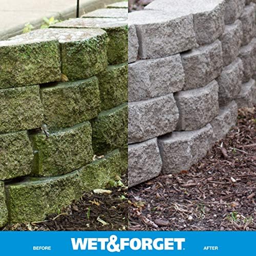 Wet Forget Moss Mold Algae Stain Remover
