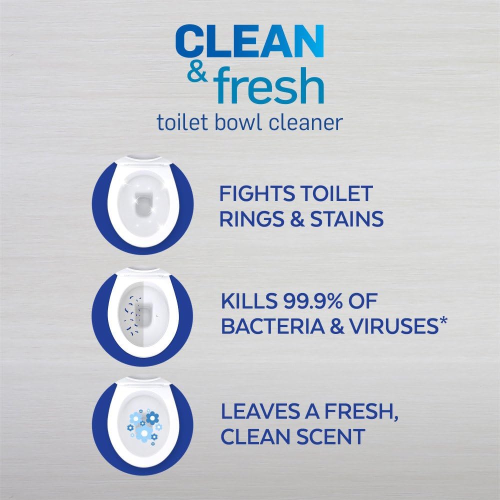 Lysol Toilet Bowl Cleaner Gel 24oz Forest Rain Scent