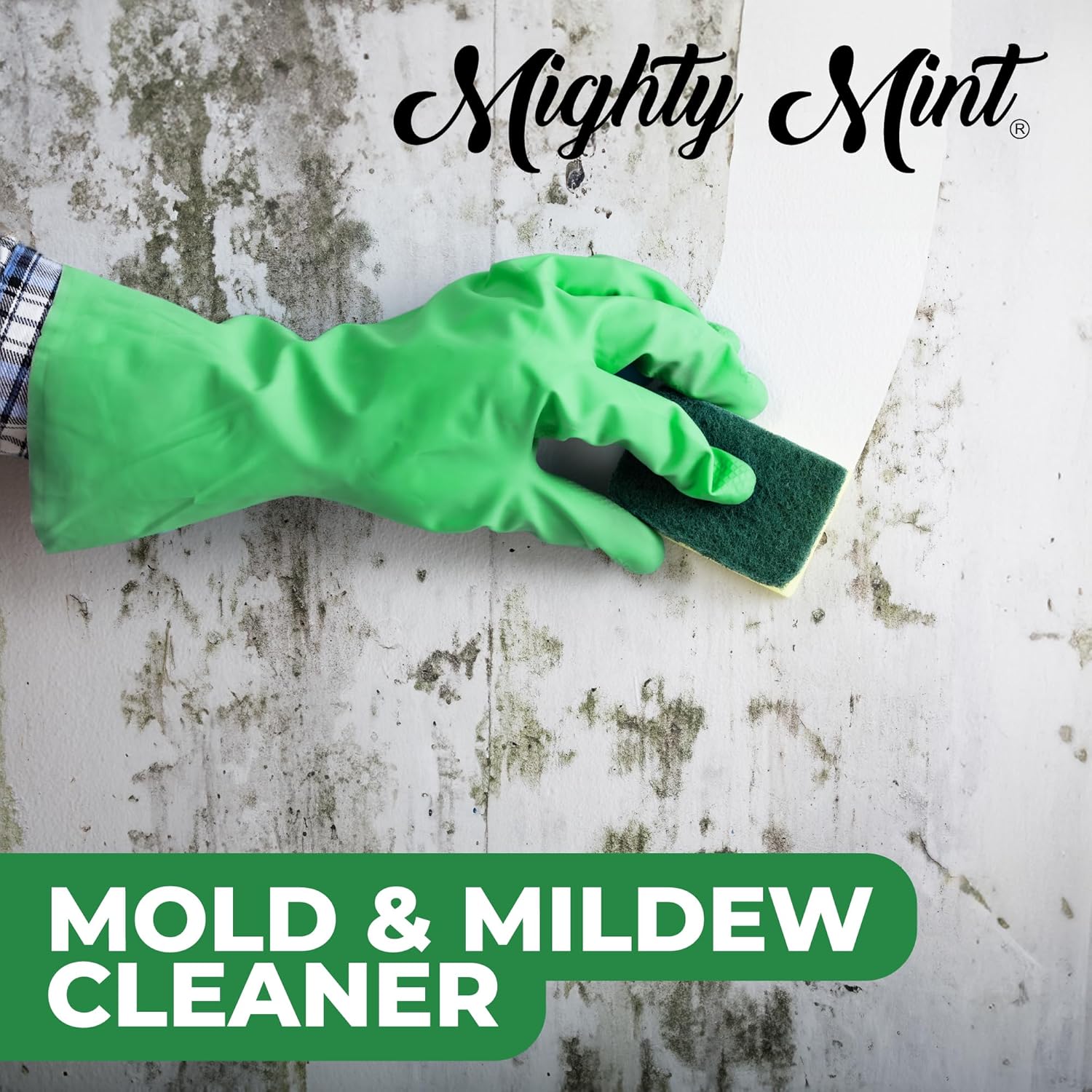 Mighty Mint Mold Mildew Stain Remover Spray 16oz