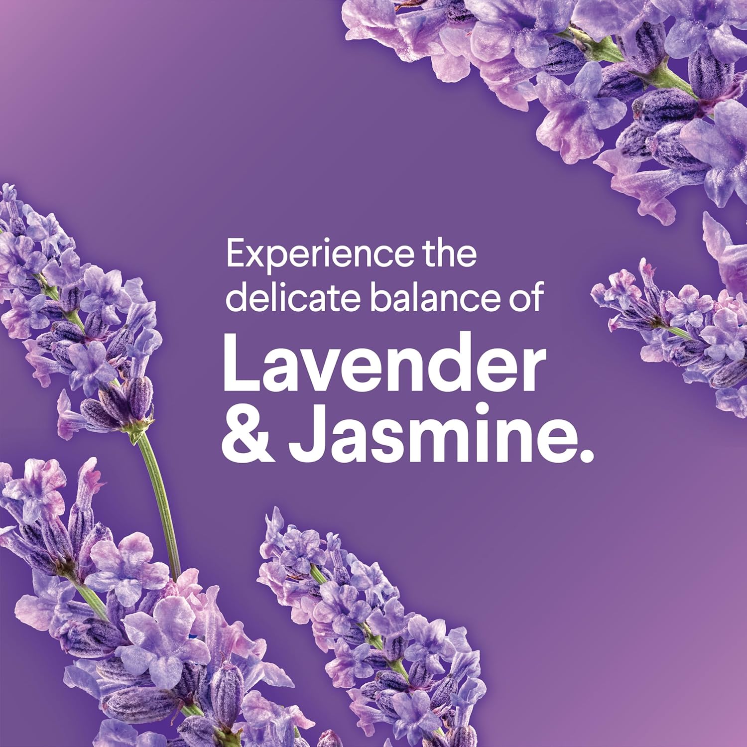 Clorox ToiletWand Refills - Lavender Jasmine 10 Count