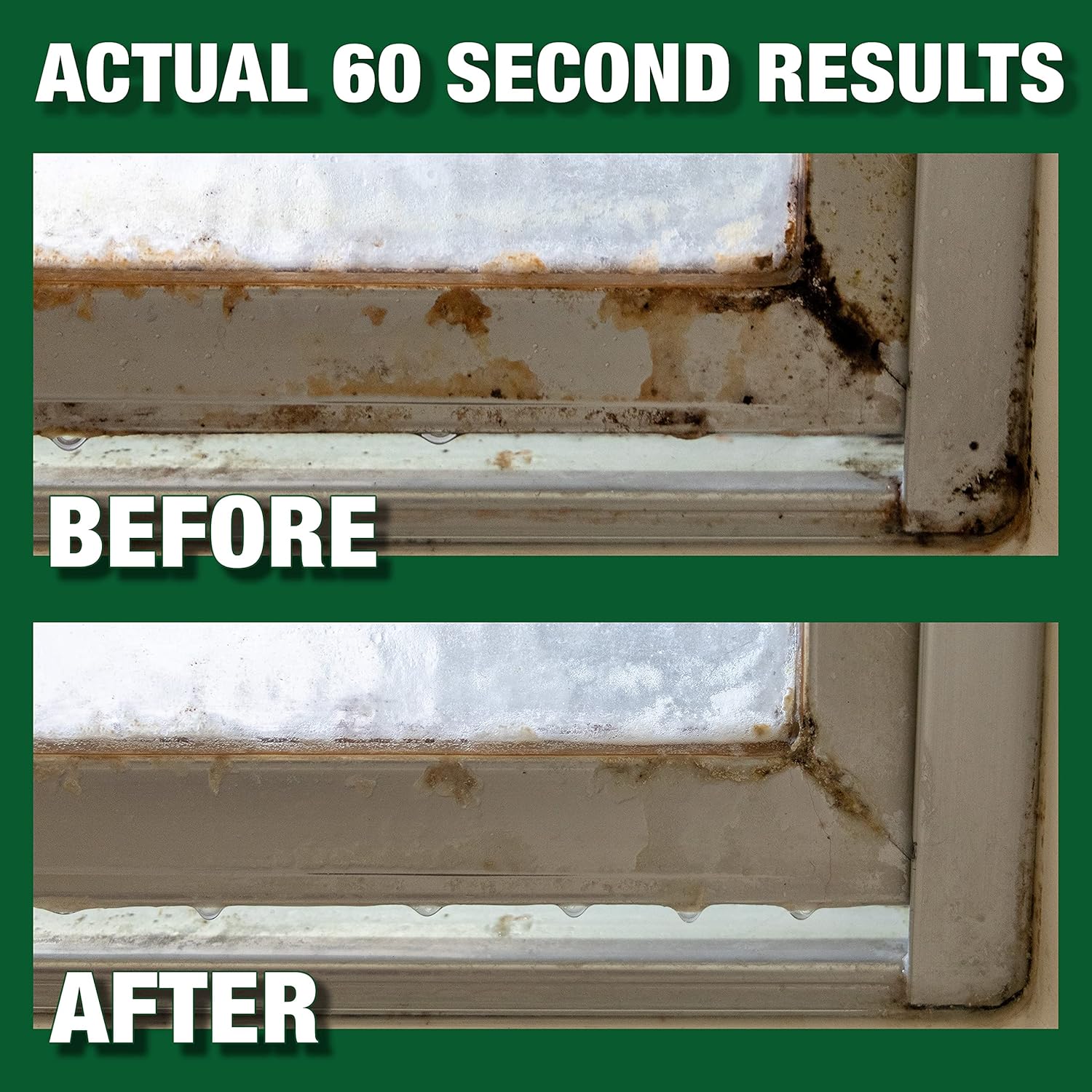 Mold Armor Rapid Clean Remediation 1 Gallon - Kills Mold Mildew Prevents