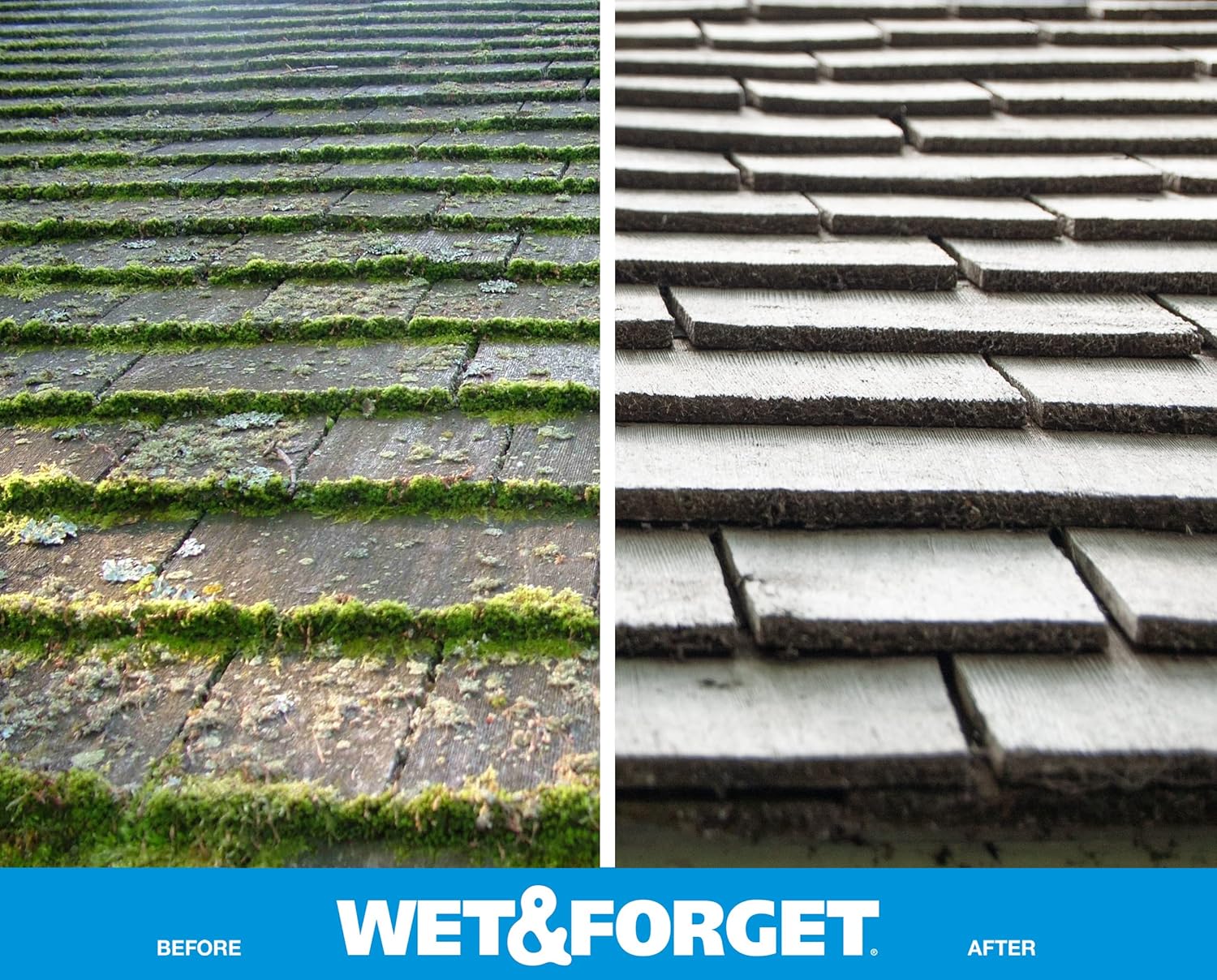 Wet Forget Moss Mold Algae Stain Remover